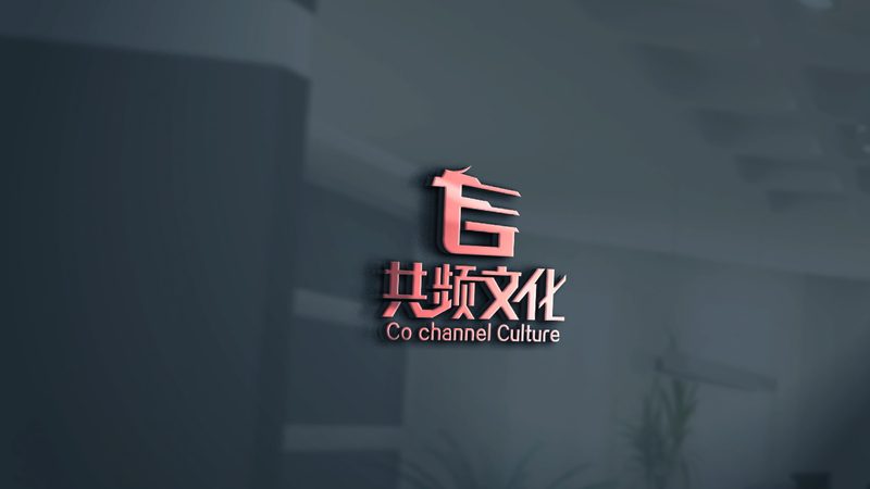 TVC广告片制作周期揭秘：从策划到成片的全过程
