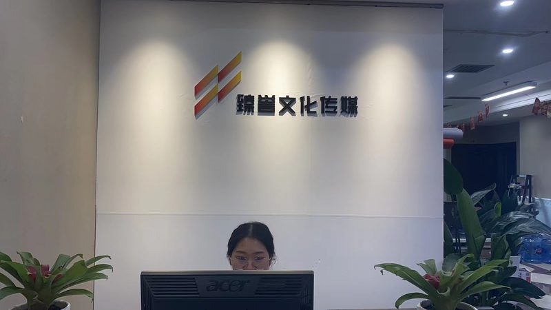 MG动画素材分类解析：解锁创意无限之门