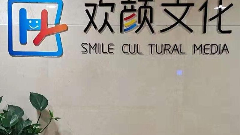 广州品牌策划公司方法论：解码成功之道